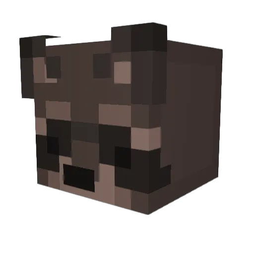 IrrationalBean Minecraft avatar head, 3D render