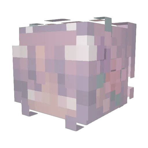 IrrationalPyro Minecraft avatar head, 3D render