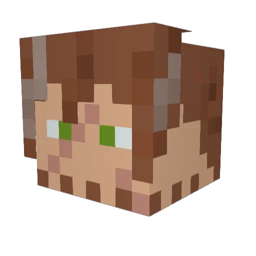 Irredeemable Minecraft avatar head, 3D render