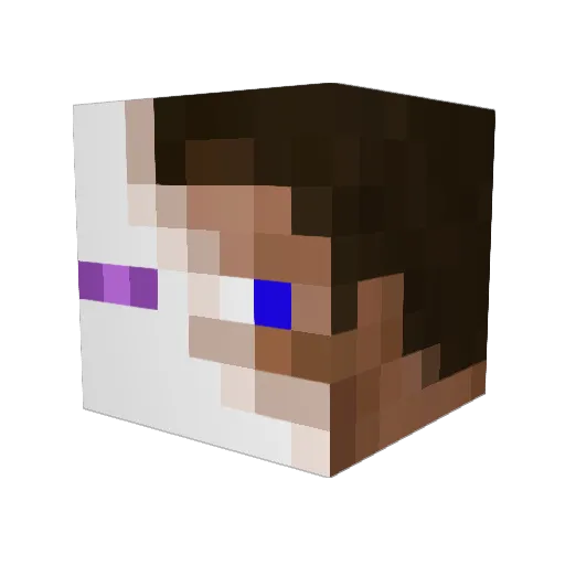 IrregularSanity Minecraft avatar head, 3D render