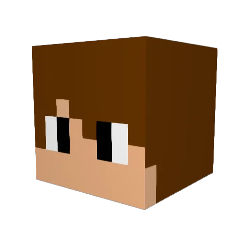 Irritable_Ewok Minecraft avatar head, 3D render