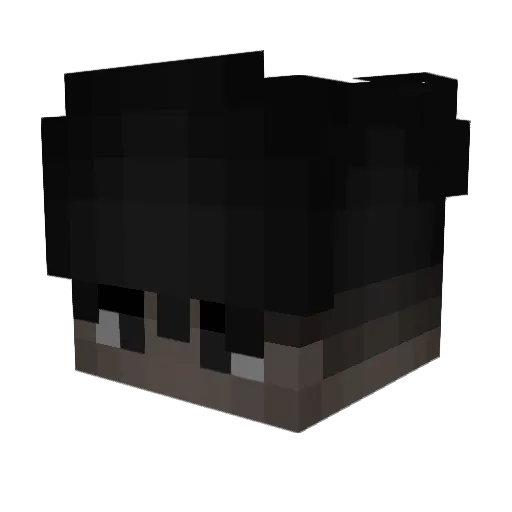 Irritei Minecraft avatar head, 3D render
