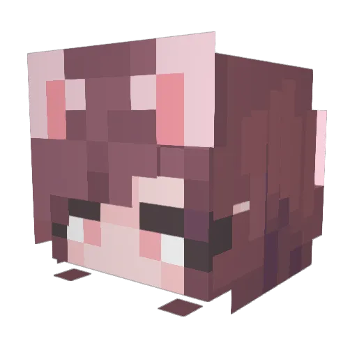 Irukaname Minecraft avatar head, 3D render