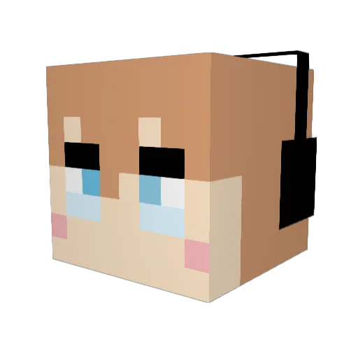 Irukun0306 Minecraft avatar head, 3D render