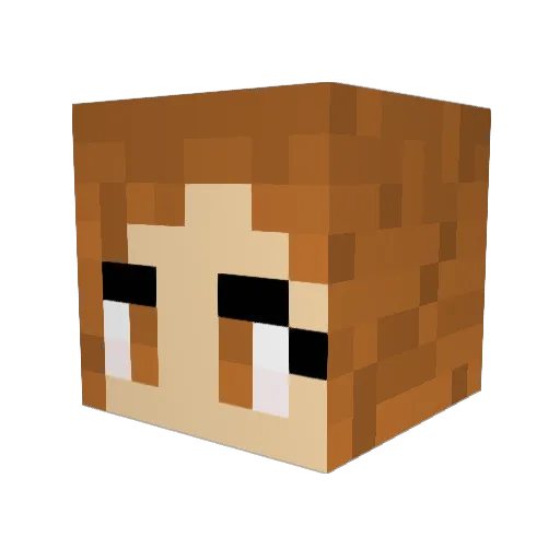 Irumel Minecraft avatar head, 3D render