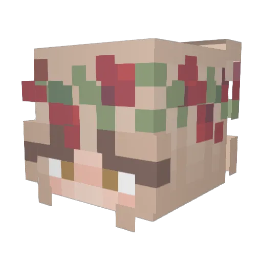 Irune00 Minecraft avatar head, 3D render