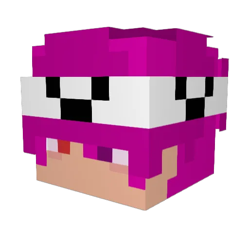 IrutFanBoy Minecraft avatar head, 3D render