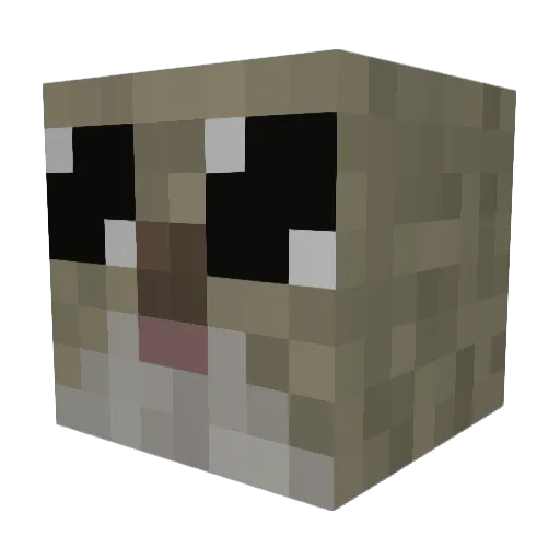 Irutehe Minecraft avatar head, 3D render