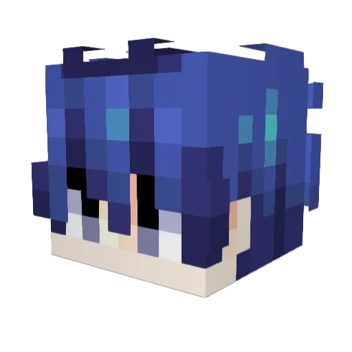 Irvin117 Minecraft avatar head, 3D render