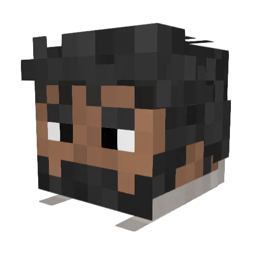 Irvinator2173 Minecraft avatar head, 3D render