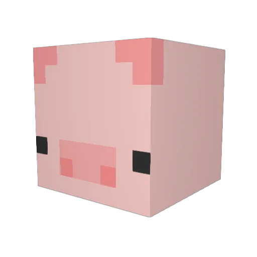 Irvinspider54 Minecraft avatar head, 3D render