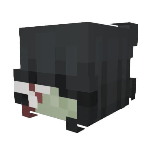 Irys85 Minecraft avatar head, 3D render