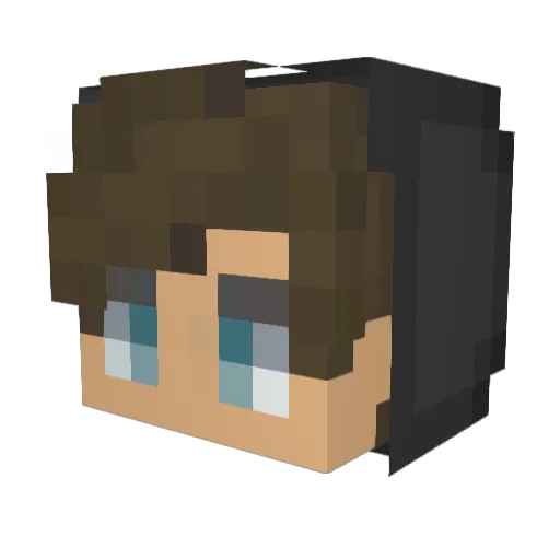 Is2005 Minecraft avatar head, 3D render