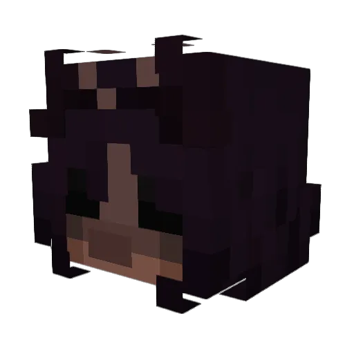IsBerd Minecraft avatar head, 3D render