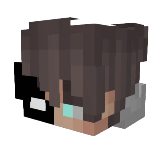IsBroken_ Minecraft avatar head, 3D render