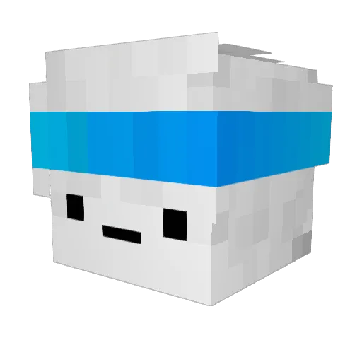 IsNotBagel Minecraft avatar head, 3D render