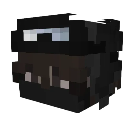 IsRobert245 Minecraft avatar head, 3D render