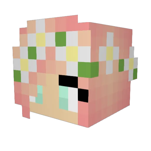 IsThisNameTooLon Minecraft avatar head, 3D render