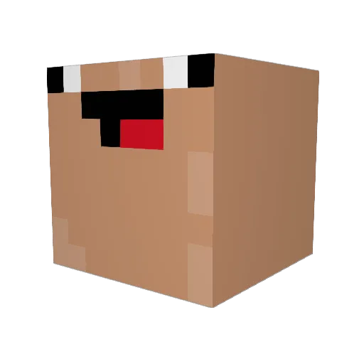 Is_Not_ElPro Minecraft avatar head, 3D render