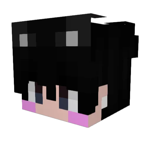 Isa1DG Minecraft avatar head, 3D render
