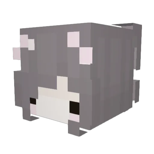 IsaDenis07 Minecraft avatar head, 3D render