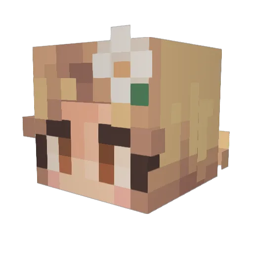 IsaPisaBee Minecraft avatar head, 3D render