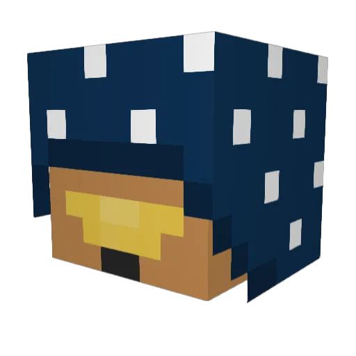 IsaTheSimp Minecraft avatar head, 3D render