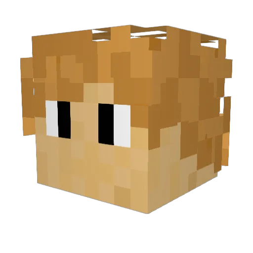 Isaac64 Minecraft avatar head, 3D render