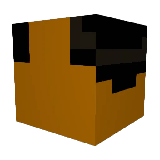 IsaacNewton9000 Minecraft avatar head, 3D render