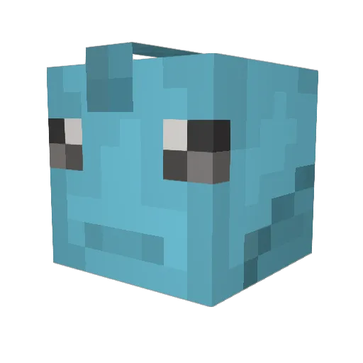IsaacSage Minecraft avatar head, 3D render