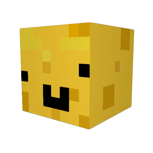 Isaacwillrule69 Minecraft avatar head, 3D render