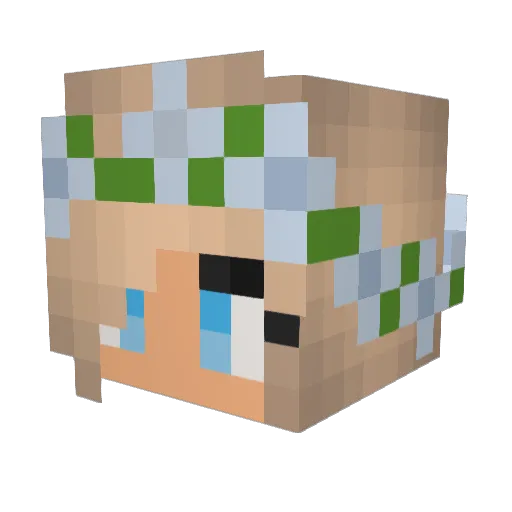Isaatje123 Minecraft avatar head, 3D render