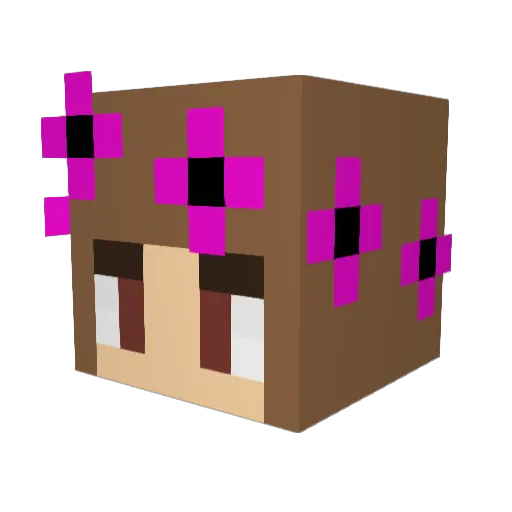 IsabelaBR Minecraft avatar head, 3D render
