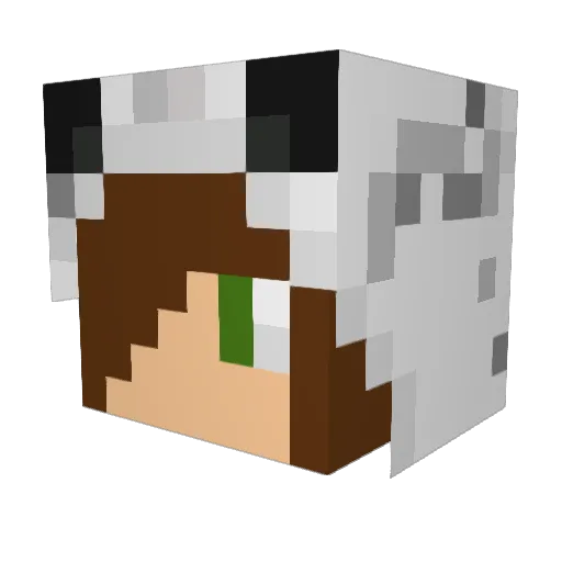 IsacQueiroz Minecraft avatar head, 3D render