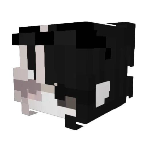 Isagerou Minecraft avatar head, 3D render