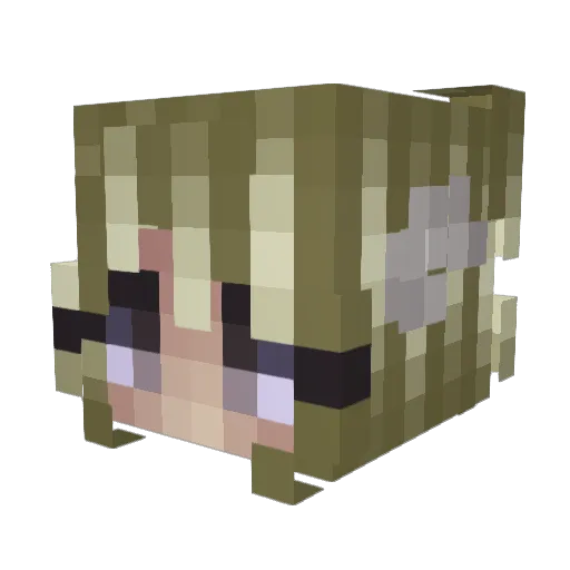 IsagiSan Minecraft avatar head, 3D render