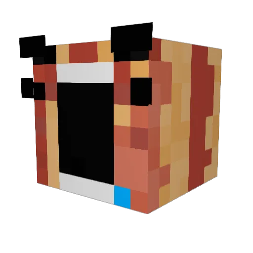 Isaiah289 Minecraft avatar head, 3D render