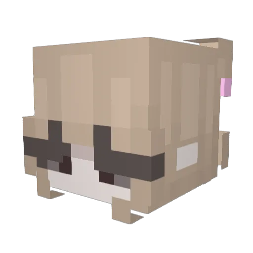 Isakkjo Minecraft avatar head, 3D render