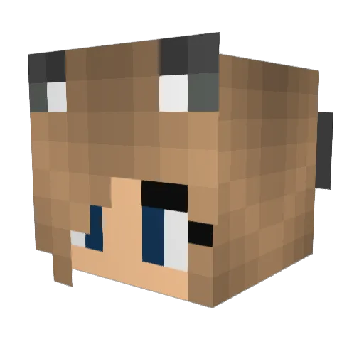 Isapoodle Minecraft avatar head, 3D render