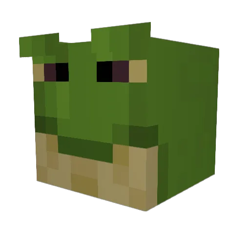 Iscarion69 Minecraft avatar head, 3D render