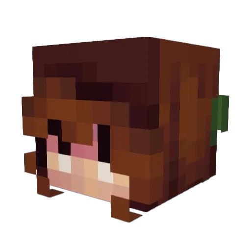 Isflinga8906 Minecraft avatar head, 3D render