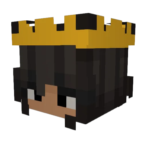 IshFishDaAceFish Minecraft avatar head, 3D render