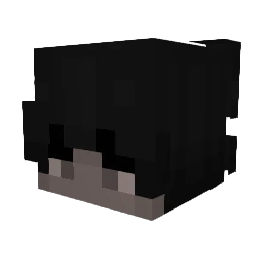 Ishipoo Minecraft avatar head, 3D render