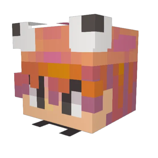 Ishm9 Minecraft avatar head, 3D render