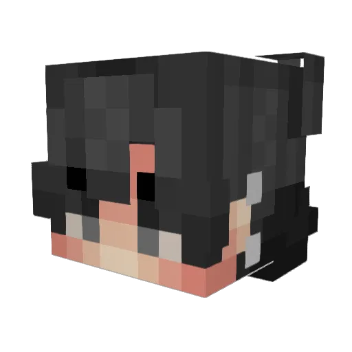 IsiAga Minecraft avatar head, 3D render