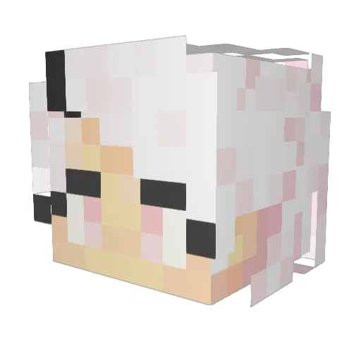 IsiCopito Minecraft avatar head, 3D render