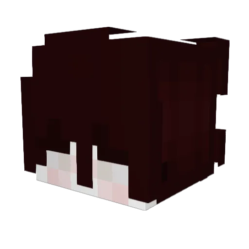 Isiaan Minecraft avatar head, 3D render