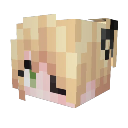 Isichi Minecraft avatar head, 3D render