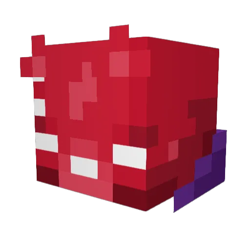 Isidru5 Minecraft avatar head, 3D render