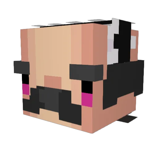 Isieyou Minecraft avatar head, 3D render